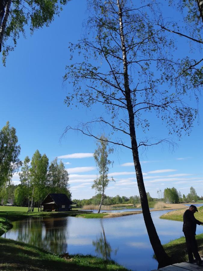 Vieversynė Duokiskis Buitenkant foto