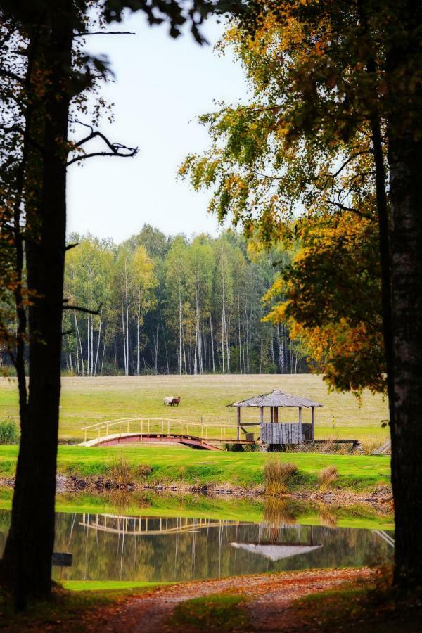 Vieversynė Duokiskis Buitenkant foto