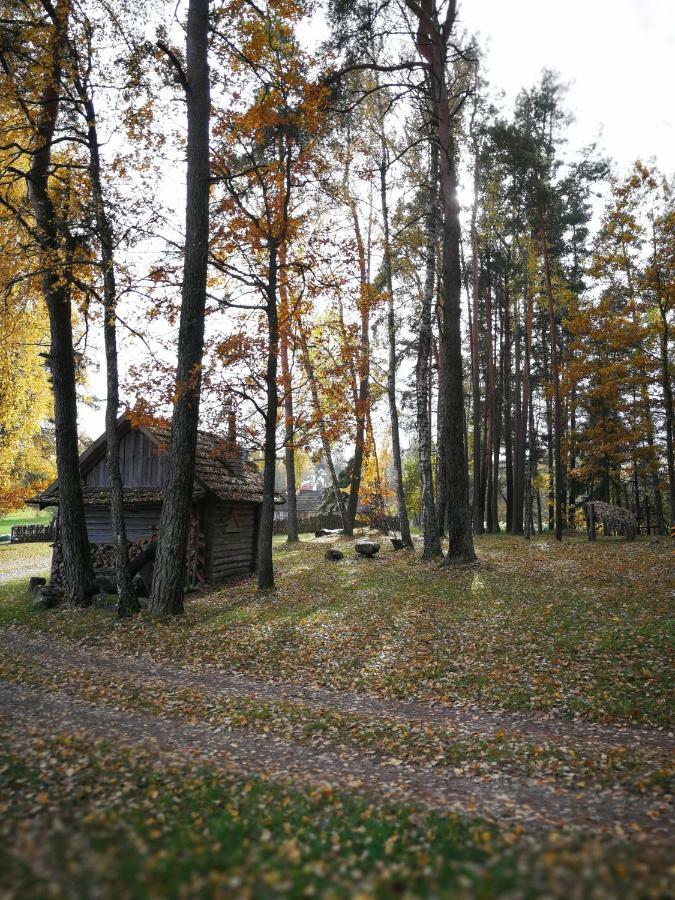 Vieversynė Duokiskis Buitenkant foto