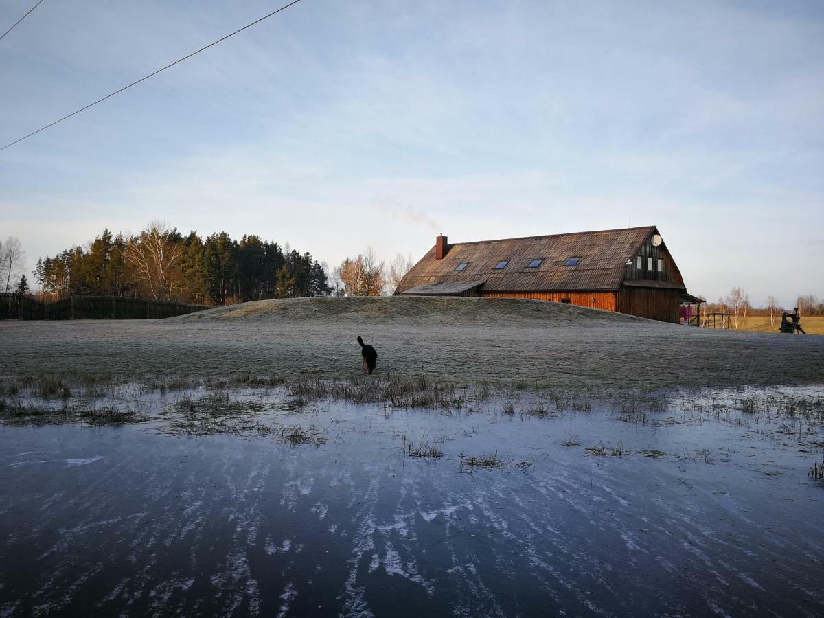 Vieversynė Duokiskis Buitenkant foto