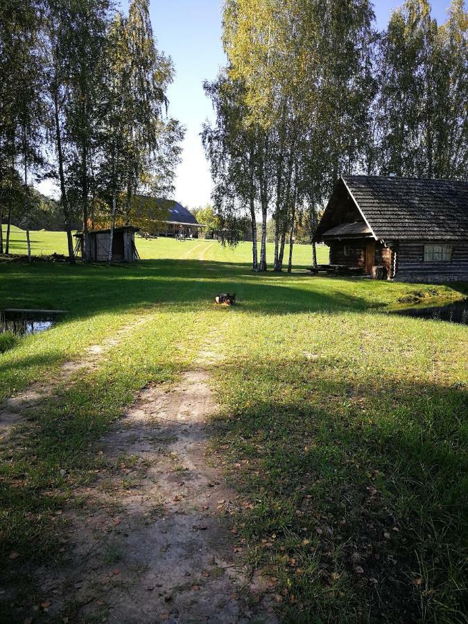 Vieversynė Duokiskis Buitenkant foto