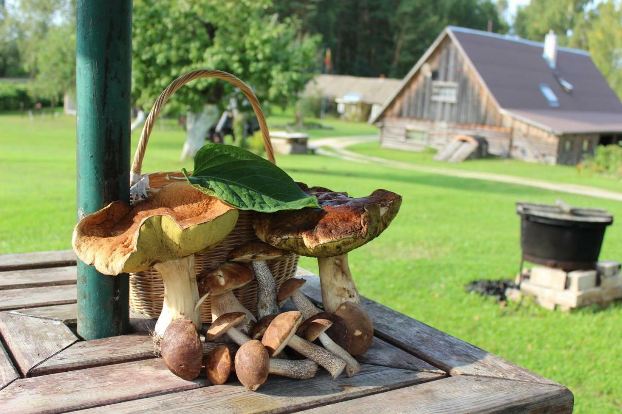 Vieversynė Duokiskis Buitenkant foto