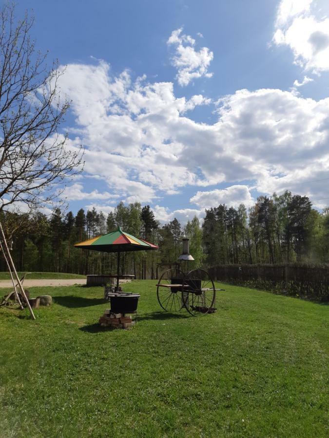 Vieversynė Duokiskis Buitenkant foto