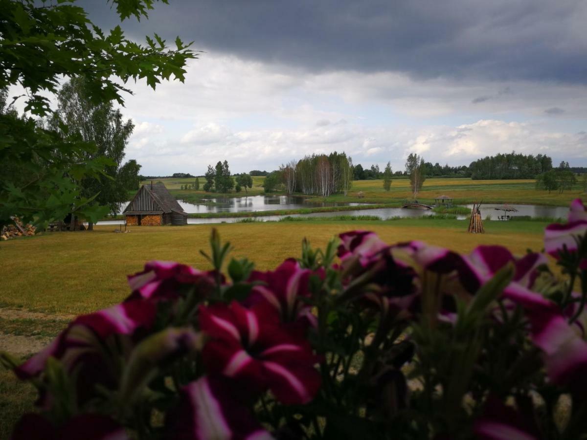 Vieversynė Duokiskis Buitenkant foto