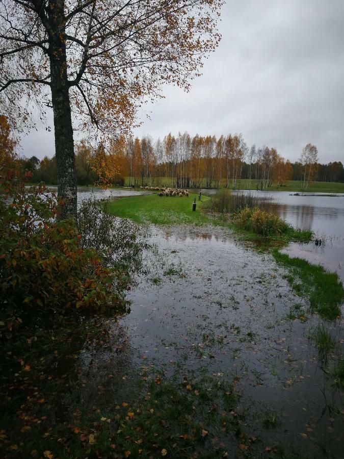 Vieversynė Duokiskis Buitenkant foto