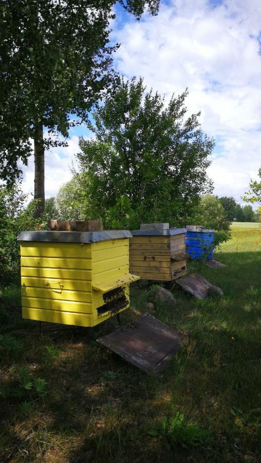 Vieversynė Duokiskis Buitenkant foto