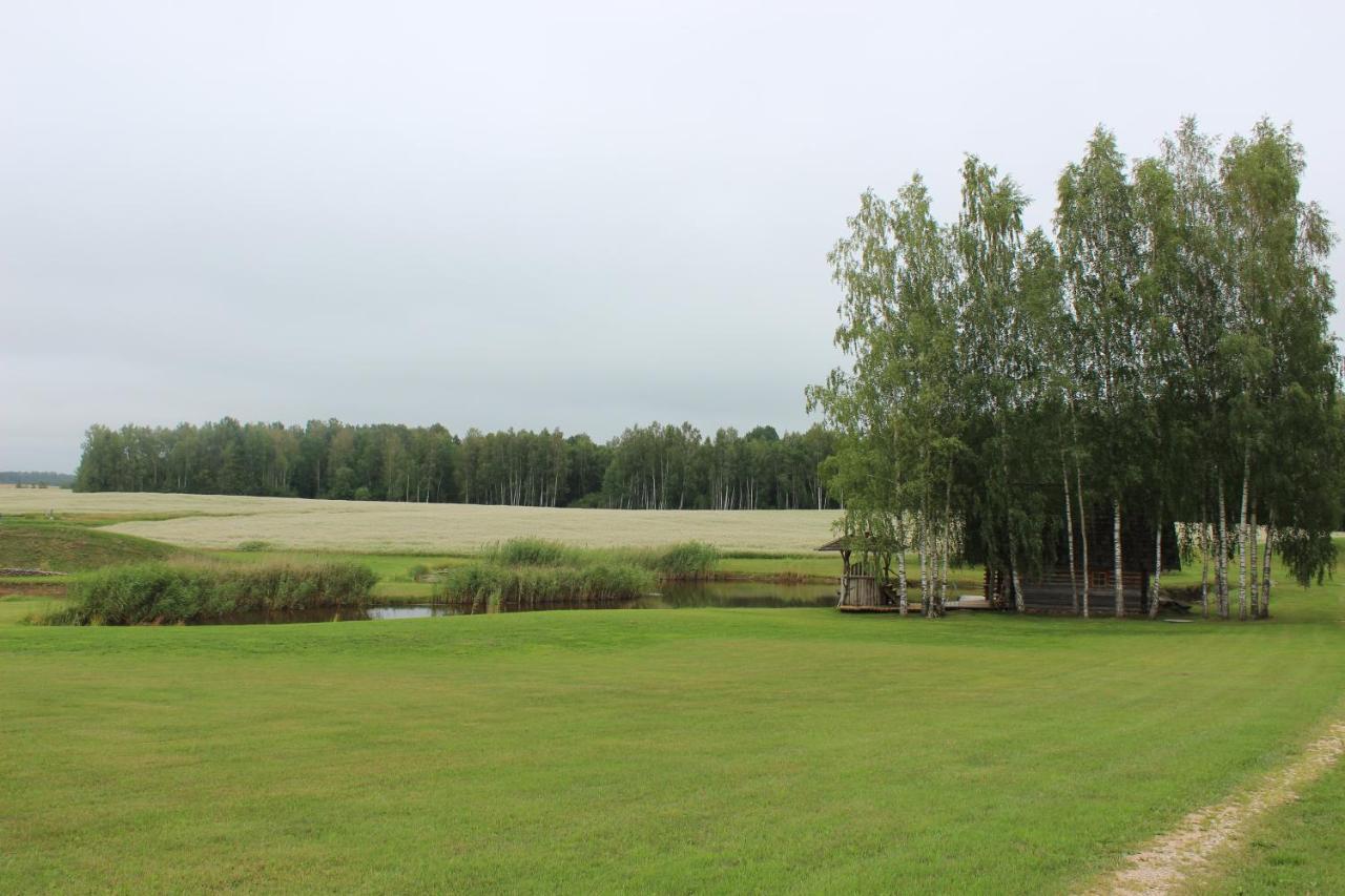 Vieversynė Duokiskis Buitenkant foto