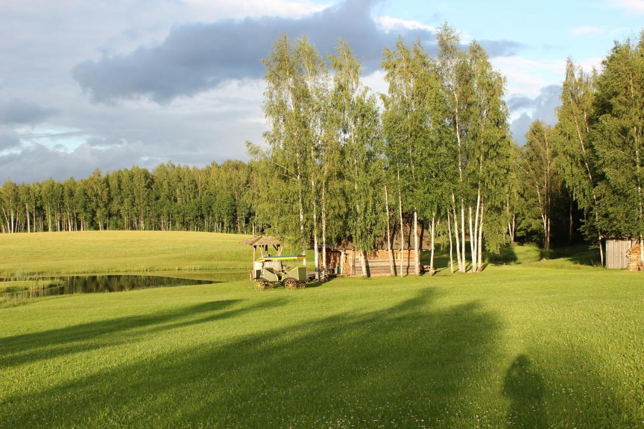 Vieversynė Duokiskis Buitenkant foto